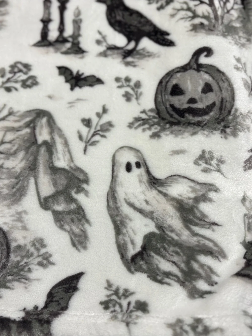 RACHEL Rachel Roy Black & White Halloween Ghost Toile Plush Throw